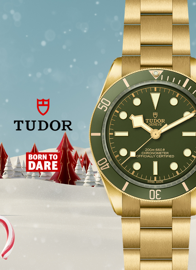 Tudor-banner_movil